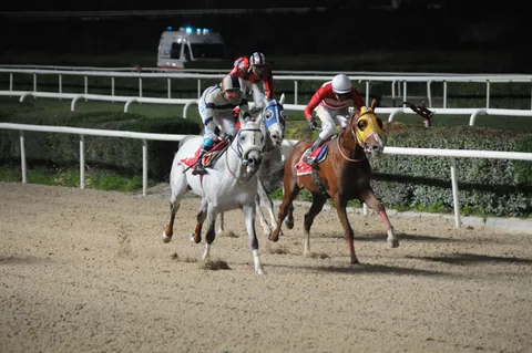 CİHANSER CİHANSER