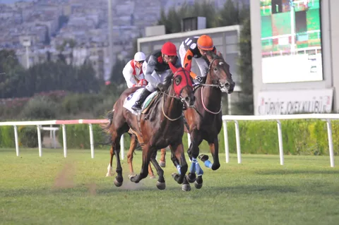 DÖKERŞAH