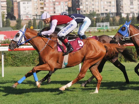 EMİRŞAH