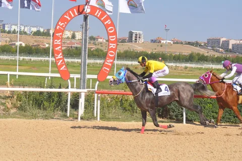 FAZIL AĞA FAZIL AĞA
