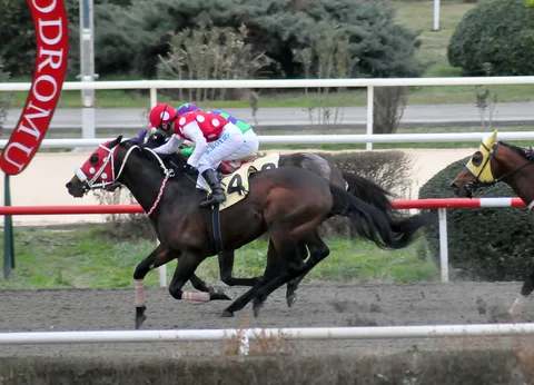 HAYRİ BABA
