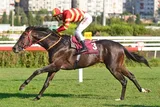 KALİMDOR KALİMDOR