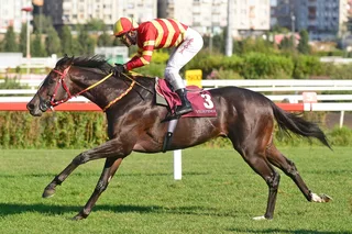 KALİMDOR