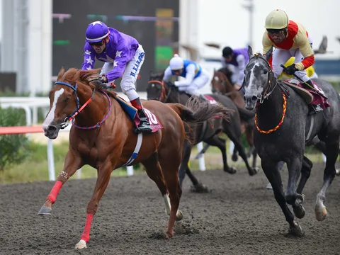 LADY KENTUCKY(4) (USA)