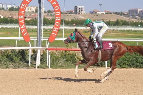 TAİR TAİR