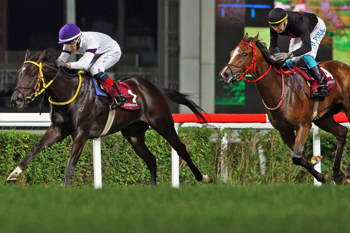 BLACK SAPHIRE BLACK SAPHIRE