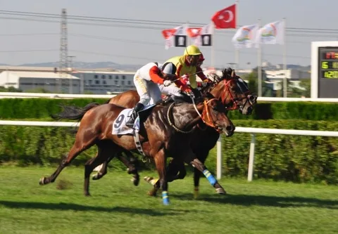 KÜÇÜK MATRA KÜÇÜK MATRA