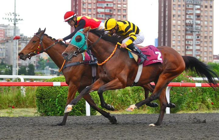 LADY SMITH LADY SMITH