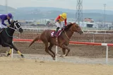 OĞLUMALİHAN OĞLUMALİHAN
