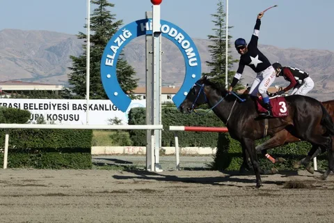 ATAŞTACUS
