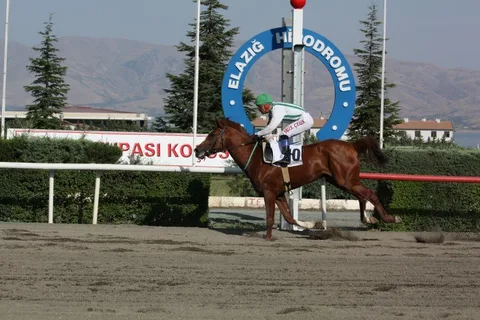 ATEŞKES ATEŞKES