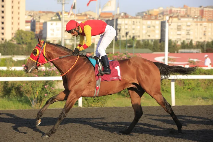 BAŞKAN NEXIA BAŞKAN NEXIA