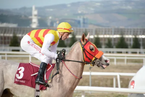 BAŞKAYNAK BAŞKAYNAK