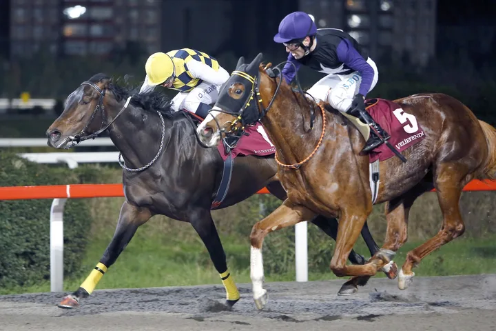 BETİFERİ BETİFERİ