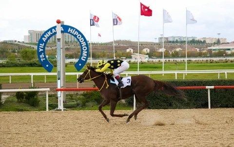 CHACHKOVA(2) (USA) CHACHKOVA(2) (USA)
