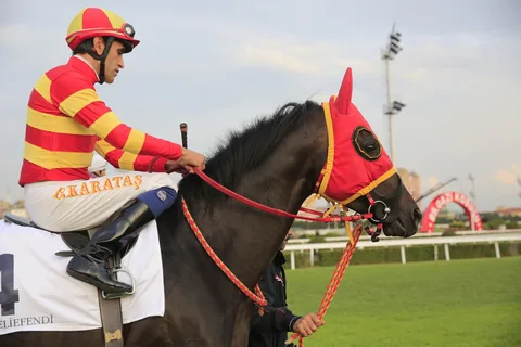 CİHANIM