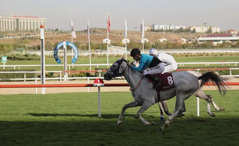 DÜŞÜMDEKİ