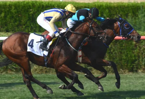 ILDIR BEYI(2) (IRE)