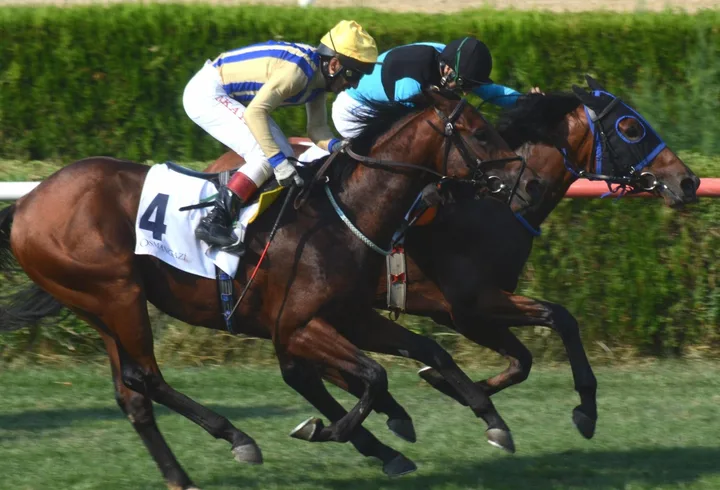 ILDIR BEYI(2) (IRE) ILDIR BEYI(2) (IRE)