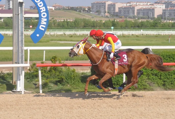 SEZAR SEZAR