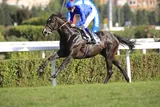 TOORMORE(7) (IRE) TOORMORE(7) (IRE)
