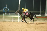 ATES KUSU(1) (USA)