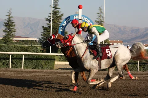 ATİKTAY