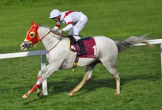 BUZKAYA