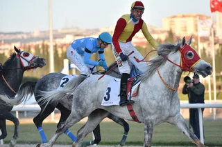 DERBİŞAH