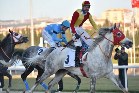 DERBİŞAH DERBİŞAH