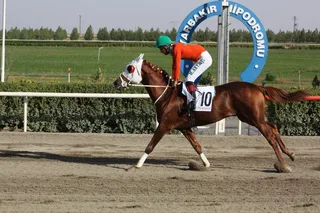 DİZDAR BEY
