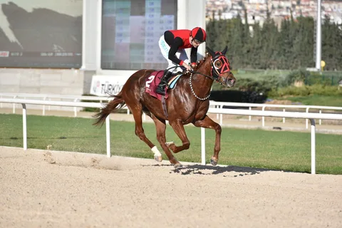 İLKAAN İLKAAN