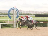 KATI SEMİH KATI SEMİH