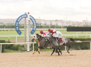 KATI SEMİH
