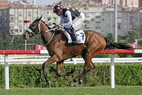 MANDARİN