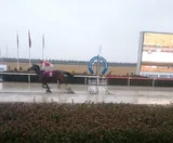 MY FAST BOY
