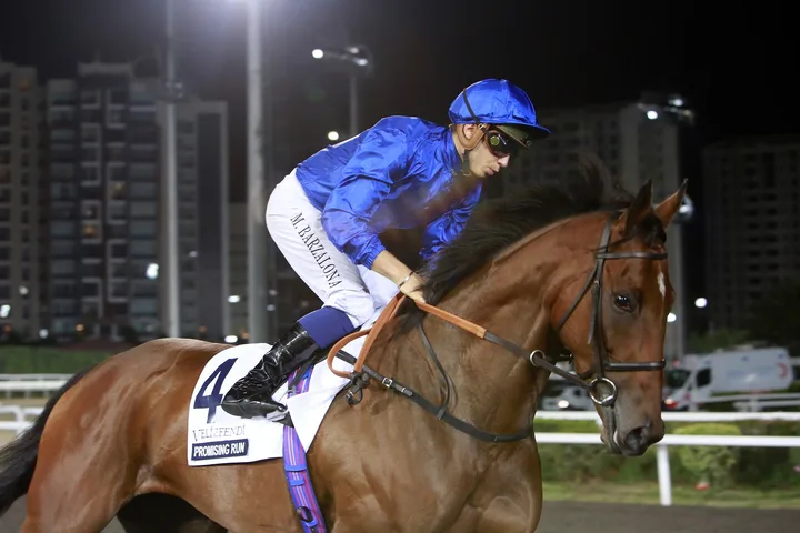 PROMISING RUN(4) (USA) PROMISING RUN(4) (USA)