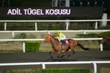 TEMSİL
