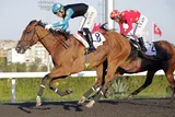 TENERIFE SONG(8) (GB)