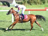 AMANKAYA