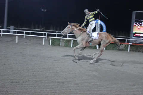 BLACKS WINNER