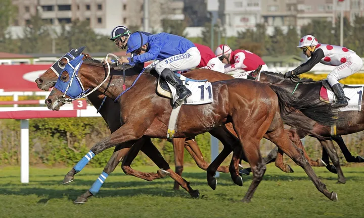 DAYIM BENIM(6) (IRE) DAYIM BENIM(6) (IRE)