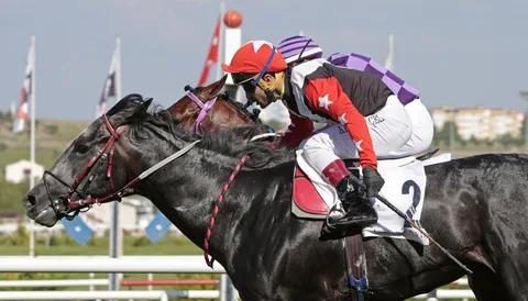 GAZIBORA KHAN(3) (GB) GAZIBORA KHAN(3) (GB)