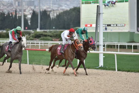 KOLAÇAN KOLAÇAN