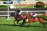 MARVELOUS IRON(6) (USA)