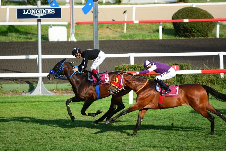 MARVELOUS IRON(6) (USA) MARVELOUS IRON(6) (USA)