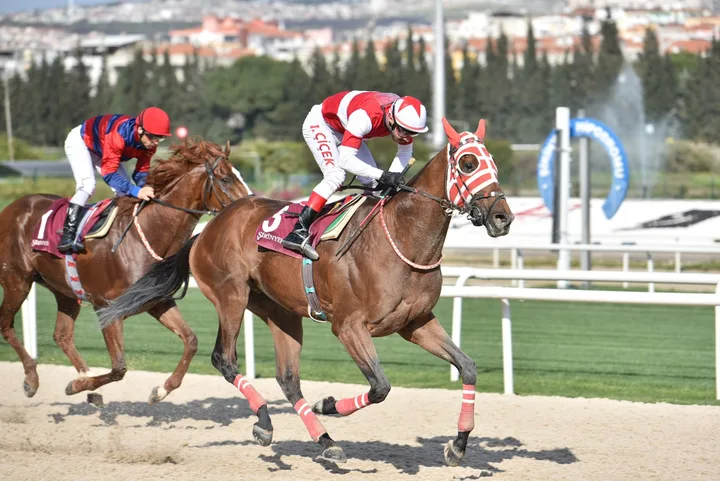 TAHİRİ TAHİRİ