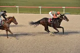 TRIPLE CROWN TRIPLE CROWN