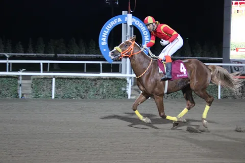 YEŞİLTAŞ