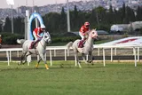 ADİLABİ